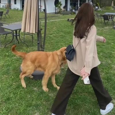 逃亡机运